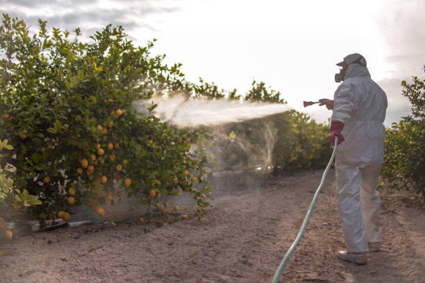 Best Emergency Pest Control  in Waimalu, HI